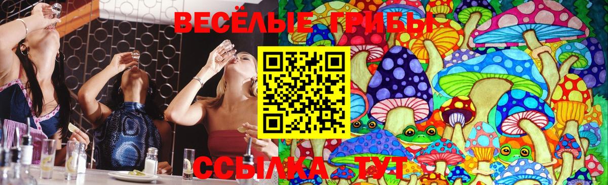 Новочеркасск  Галлюциногенные грибы MAGIC MUSHROOMS  Вход с VPN 